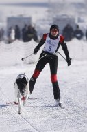 Lenk 2013